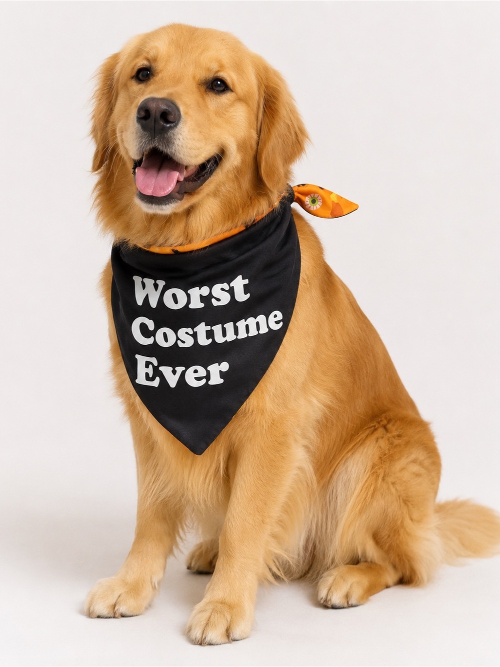Reversible Glow in the Dark Pet Bandana Halloween NWT